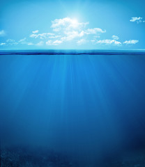 Obraz premium tropikalna scena podwodna