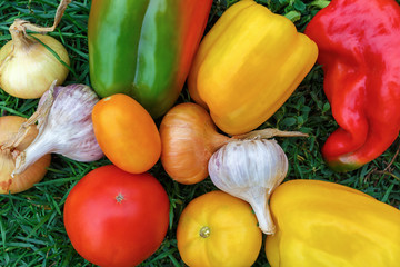 Appetizing vegetables