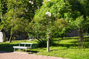 Obraz premium beautiful green park