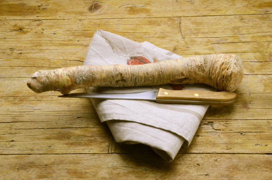 Armoracia rusticana Horseradish Cren Meerrettich R&aacute;bano