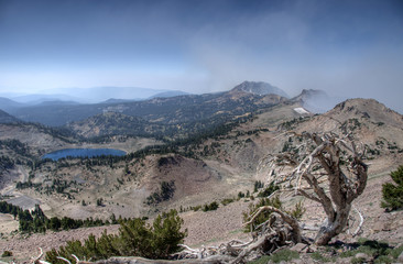 forest on fire in Lassen Volcanic National Park © boole2