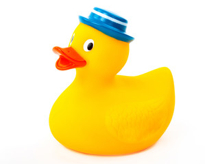 Rubber toy Duck with blue hat isolated on white background
