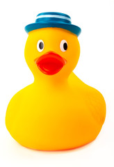 Rubber toy Duck with blue hat isolated on white background