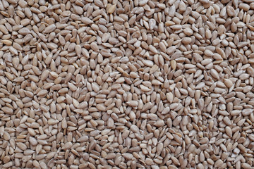 Hulled sunflower seed hearts