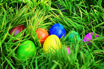 Easter Eggs with Fresh Green Grass over white background
