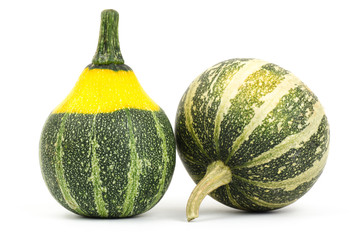 Colorful pumpkins on white background