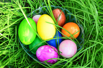Fototapeta na wymiar Easter Eggs with Fresh Green Grass over white background