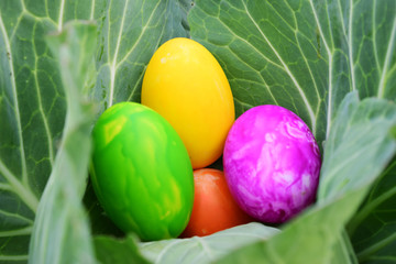 Easter Eggs with Fresh Green Grass over white background