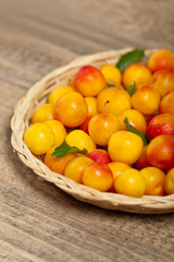 Cherry Plum. Selective focus.