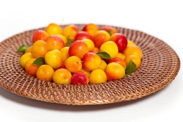 Cherry Plum. Selective focus.