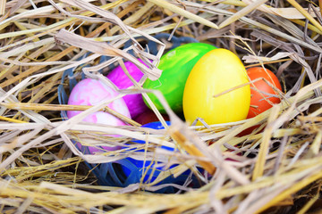Colorful easter eggs in nest on meadow