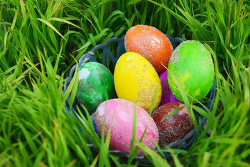 Easter Eggs with Fresh Green Grass over white background