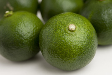 シークヮーサー