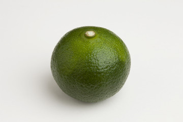 シークヮーサー