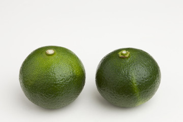 シークヮーサー