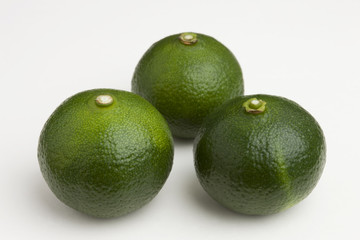 シークヮーサー