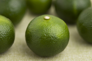 シークヮーサー