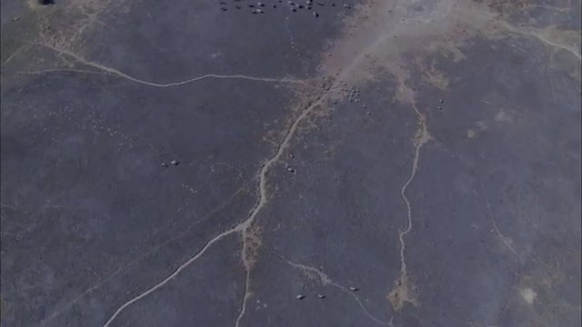 River Delta