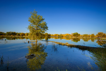 China Inner Mongolia, the beautiful scenery of the lake