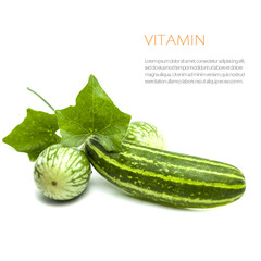 fresh vitamin from vegetables, cucumber, gourd, eggplant on whit