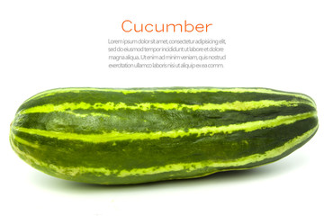 green cucumber isolated on white background, Cucumis sativus