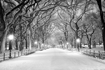 Printed kitchen splashbacks American Places Central Park, NY covered in snow at dawn