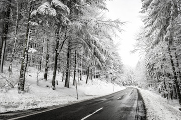 winter hike