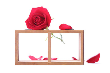 wood shelf decorated with red rose flowers isolated
