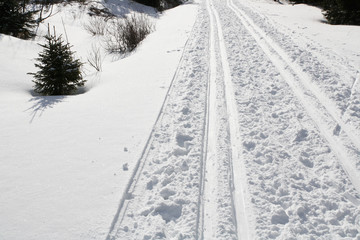 Ski track