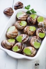 Fototapeta na wymiar Close-up of bourgogne snails with garlic butter, studio shot