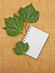 Notebook background on canvas with beautiful green leaves.