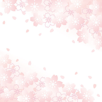 桜　背景