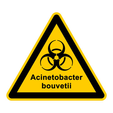 wso127 WarnSchildOrange - acinetobacter bouvetii - g3052