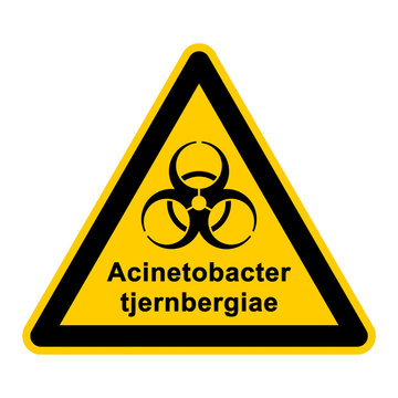 wso128 WarnSchildOrange - acinetobacter tjernbergiae - g3053