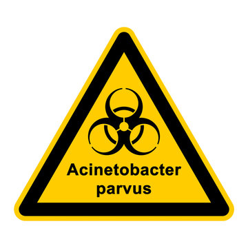 wso129 WarnSchildOrange - acinetobacter parvus - g3054