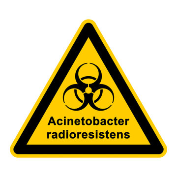 wso130 WarnSchildOrange - acinetobacter radioresistens - g3055