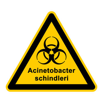 wso131 WarnSchildOrange - acinetobacter schindleri - g3056