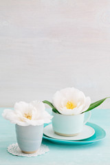 Fototapeta na wymiar Camellia flowers