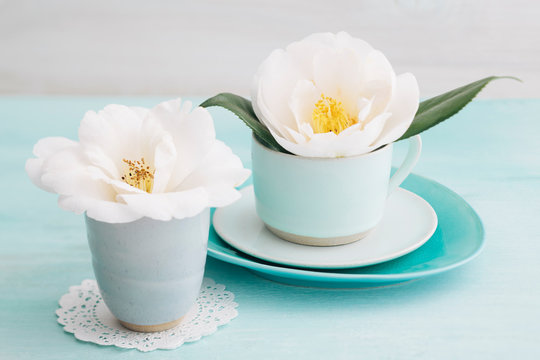 Fototapeta Camellia flowers