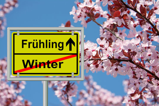 Fr&uuml;hlingserwachen