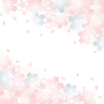 桜　背景