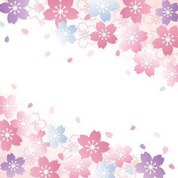 桜　背景