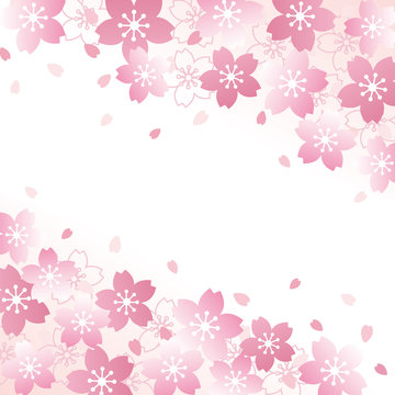 桜　背景