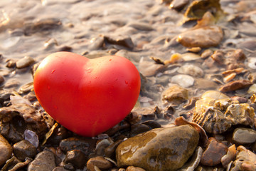 Obraz premium red shape heart on rock and shell