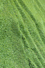 abstract grass texture background, artificial green grass