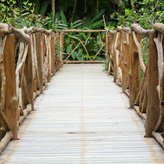 Naklejka premium wooden walkway in green nature garden