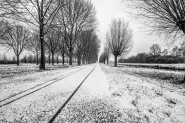 Winter landscape in black and white