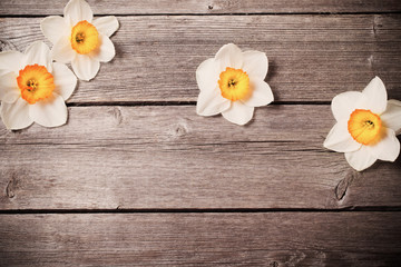 narcissus on old wooden background