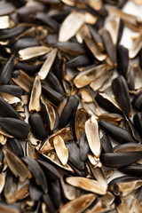 Sunflower seed husk