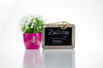 Zwillinge?